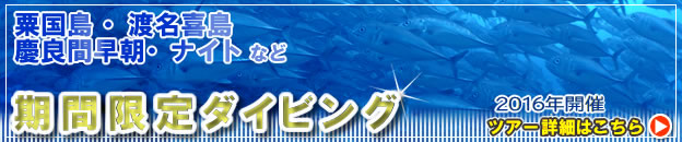 沖縄の期間限定で潜れるスペシャルダイビング