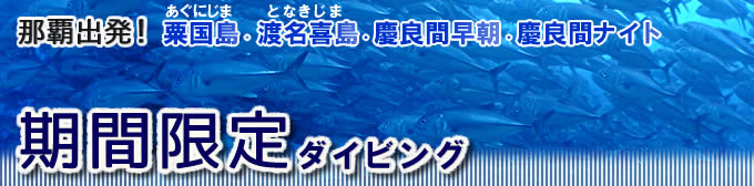 慶良間早朝ダイビング・ナイトダイビング