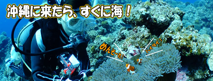 沖縄の到着日ダイビング